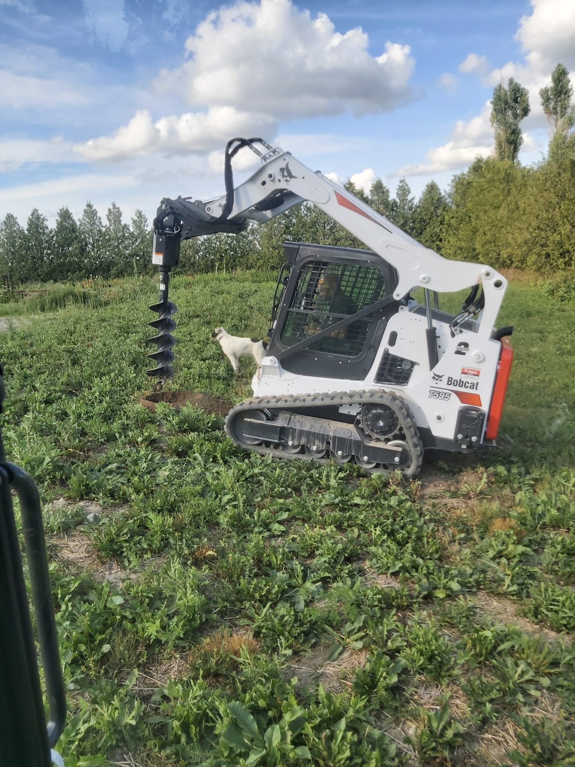 T595 T4 Bobcat Track Loader – Shield Equipment Rentals